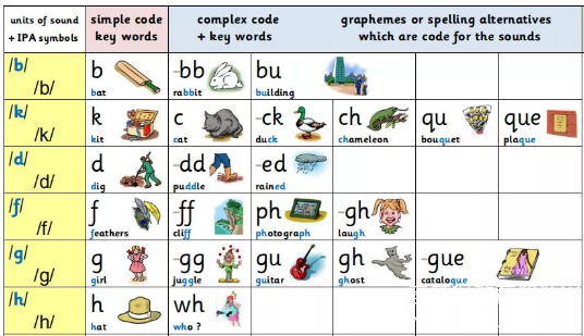 215条自然拼读规则 涵盖Phonics里44个发音以及字母词根