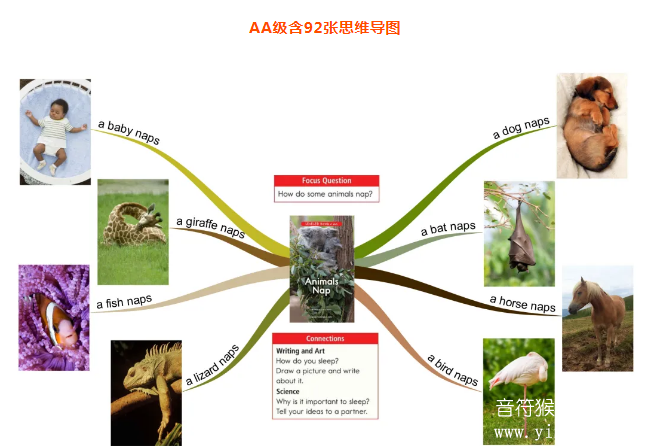 raz分级阅读思维导图 让学习思路更清晰 知识吸收更高效