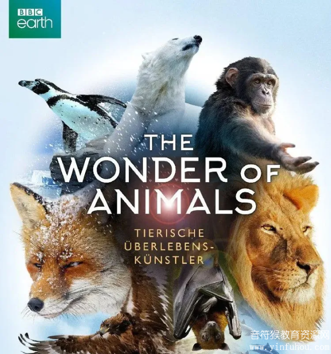 BBC自然生态纪录片《The Wonder of Animals》神奇动物大揭秘